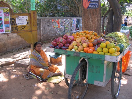 Street vendor near Adarsh Gardens