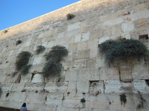 Upper section of Wall in Jerusalem