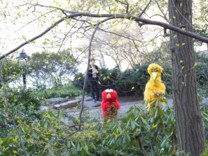 Sesame Street Characters in Central Park