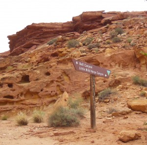 Trail Marker for Little Wild Horse Canyon 