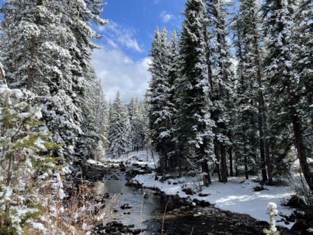 Hiking Along Vail's Gore Creek Trail in March 2021